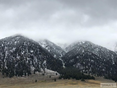Lake Commercial For Sale in Island Park, Idaho