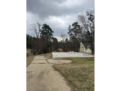 Lake lot + - photo 9