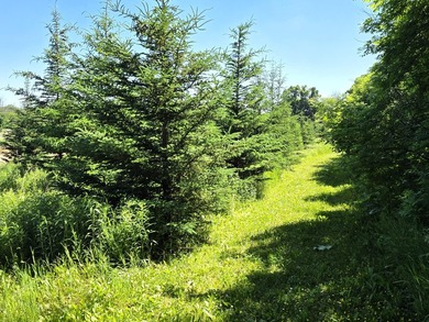 39+ acres Very private estate.Home, Land, 2 Ponds,creek & Shop - photo 13