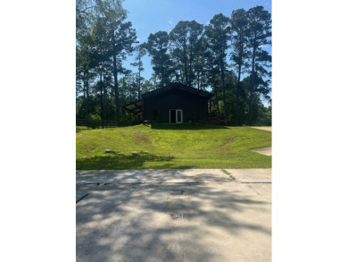 Lake lot + - photo 25