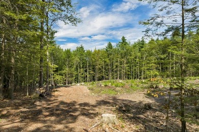 Lake Winnipesaukee Acreage For Sale in Wolfeboro New Hampshire