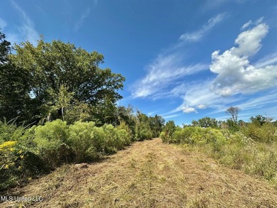 Tuscola Flats is a +/- 309 acre bottomland hunting tract located - photo 13