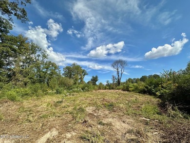 Tuscola Flats is a +/- 309 acre bottomland hunting tract located - photo 14