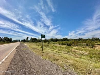 Tuscola Flats is a +/- 309 acre bottomland hunting tract located - photo 20