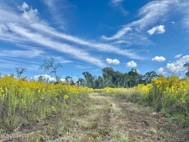 Tuscola Flats is a +/- 309 acre bottomland hunting tract located - photo 24
