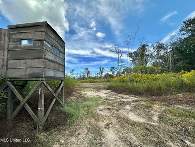 Tuscola Flats is a +/- 309 acre bottomland hunting tract located - photo 25