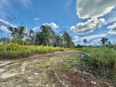 Tuscola Flats is a +/- 309 acre bottomland hunting tract located - photo 26