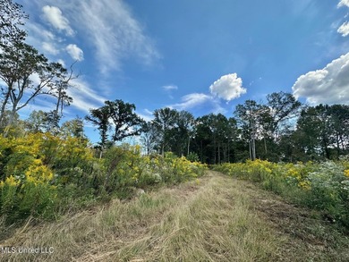 Tuscola Flats is a +/- 309 acre bottomland hunting tract located - photo 27