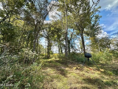 Tuscola Flats is a +/- 309 acre bottomland hunting tract located - photo 28