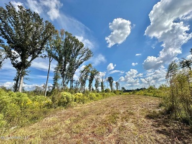 Tuscola Flats is a +/- 309 acre bottomland hunting tract located - photo 30