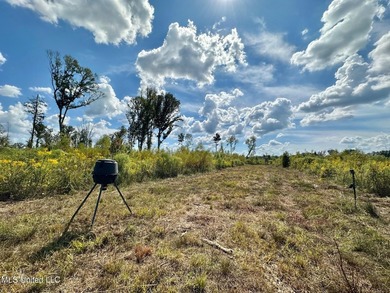 Tuscola Flats is a +/- 309 acre bottomland hunting tract located - photo 31