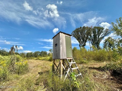 Tuscola Flats is a +/- 309 acre bottomland hunting tract located - photo 32