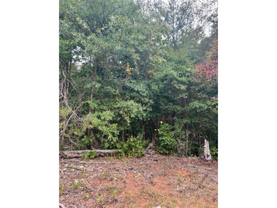 Additional listing photo 1