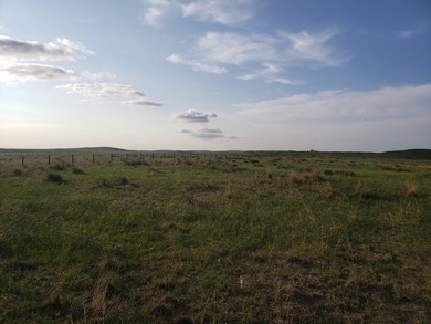Haythorn's Lake McConaughy Vistas will be 10 plus acre lots - photo 4