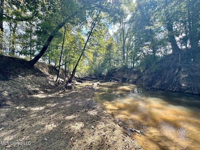 Tuscola Flats is a +/- 309 acre bottomland hunting tract located - photo 35