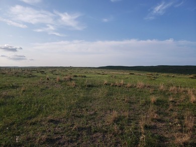Haythorn's Lake McConaughy Vistas will be 10 plus acre lots - photo 5