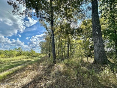 Tuscola Flats is a +/- 309 acre bottomland hunting tract located - photo 37