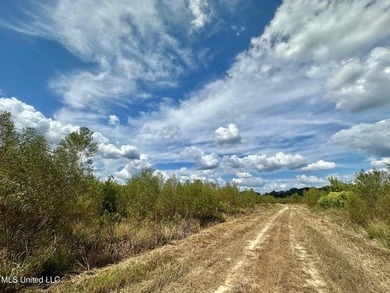 Tuscola Flats is a +/- 309 acre bottomland hunting tract located - photo 39