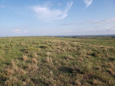 Haythorn's Lake McConaughy Vistas will be 10 plus acre lots - photo 9
