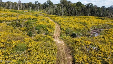 Tuscola Flats is a +/- 309 acre bottomland hunting tract located - photo 40