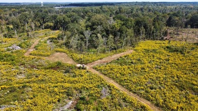 Tuscola Flats is a +/- 309 acre bottomland hunting tract located - photo 41