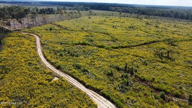 Tuscola Flats is a +/- 309 acre bottomland hunting tract located - photo 42