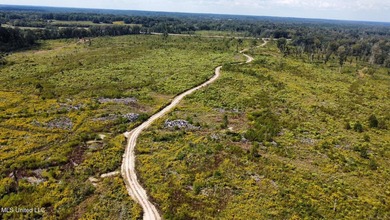 Tuscola Flats is a +/- 309 acre bottomland hunting tract located - photo 43