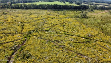 Tuscola Flats is a +/- 309 acre bottomland hunting tract located - photo 44