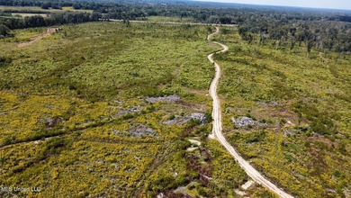 Tuscola Flats is a +/- 309 acre bottomland hunting tract located - photo 45