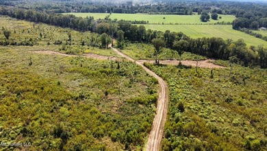 Tuscola Flats is a +/- 309 acre bottomland hunting tract located - photo 49