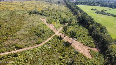 Tuscola Flats is a +/- 309 acre bottomland hunting tract located - photo 50