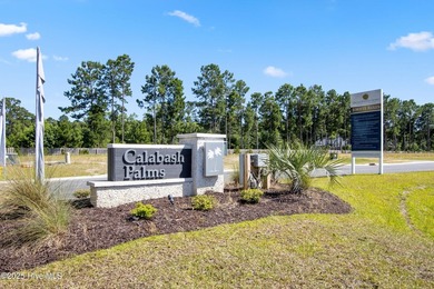 Welcome to the Filmore plan in the desirable Calabash Palms - photo 2