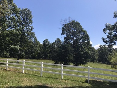 Bring the horses!! Beautiful 10.75 acres of pasture located in - photo 2