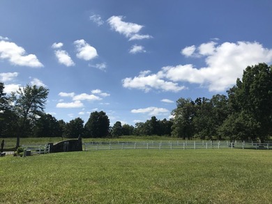 Bring the horses!! Beautiful 10.75 acres of pasture located in - photo 3