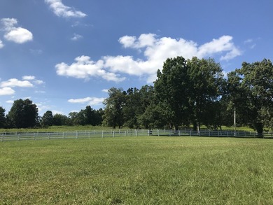 Bring the horses!! Beautiful 10.75 acres of pasture located in - photo 4