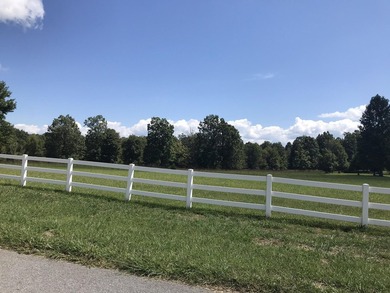 Bring the horses!! Beautiful 10.75 acres of pasture located in - photo 5