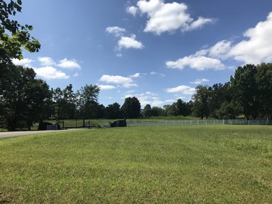 Bring the horses!! Beautiful 10.75 acres of pasture located in - photo 6