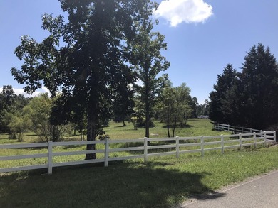 Bring the horses!! Beautiful 10.75 acres of pasture located in - photo 7