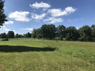 Bring the horses!! Beautiful 10.75 acres of pasture located in - photo 9