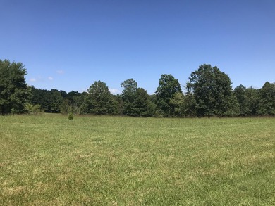 Bring the horses!! Beautiful 10.75 acres of pasture located in - photo 10