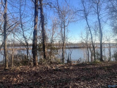 Lake Lot For Sale in Cedar Bluff, Alabama