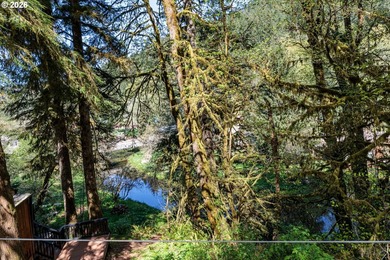 Open house Sunday 5/24 1-3PM!! Welcome to your creek frontage - photo 15