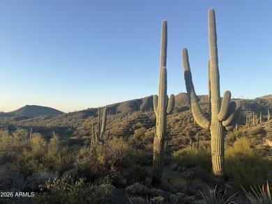 Phenomenal homesite in Desert Mountain's premier Village of - photo 4