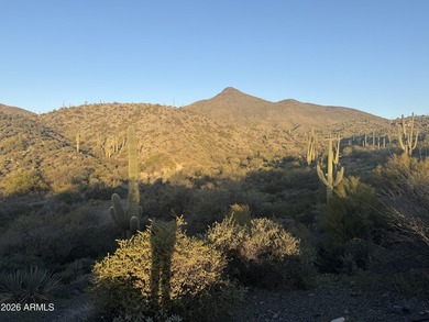 Phenomenal homesite in Desert Mountain's premier Village of - photo 6