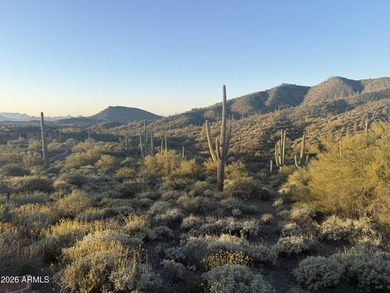Phenomenal homesite in Desert Mountain's premier Village of - photo 7