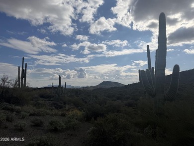 Phenomenal homesite in Desert Mountain's premier Village of - photo 8