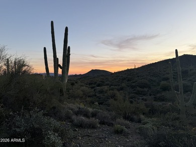 Phenomenal homesite in Desert Mountain's premier Village of - photo 9