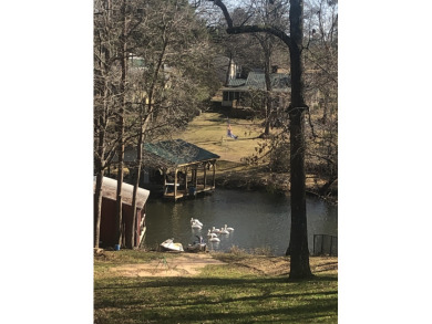 Lake lot + - photo 3