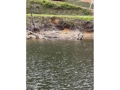 Gorgeous 3.47 acre lot overlooking the serine waters of Watagua - photo 4