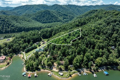 Gorgeous 3.47 acre lot overlooking the serine waters of Watagua - photo 7